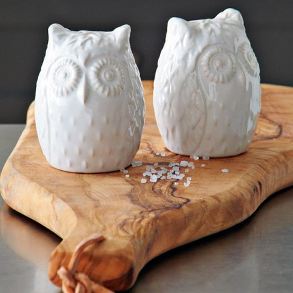 NWT - Owl Glazed White Stoneware Salt and Pepper